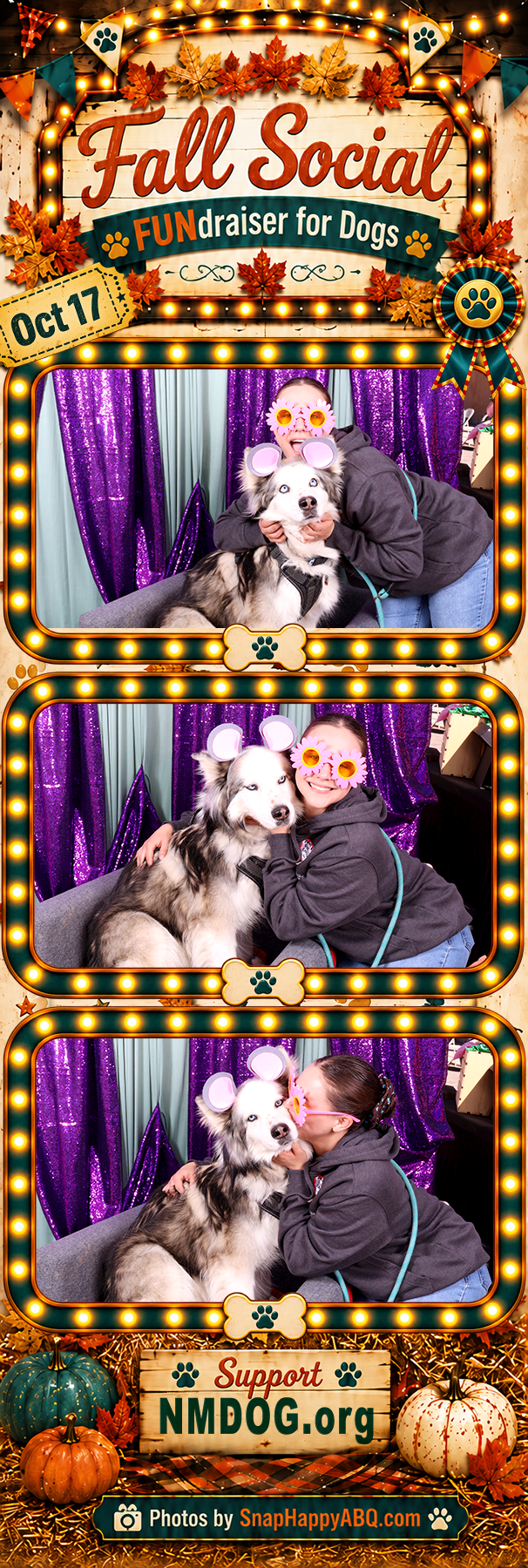 Nmdog 14