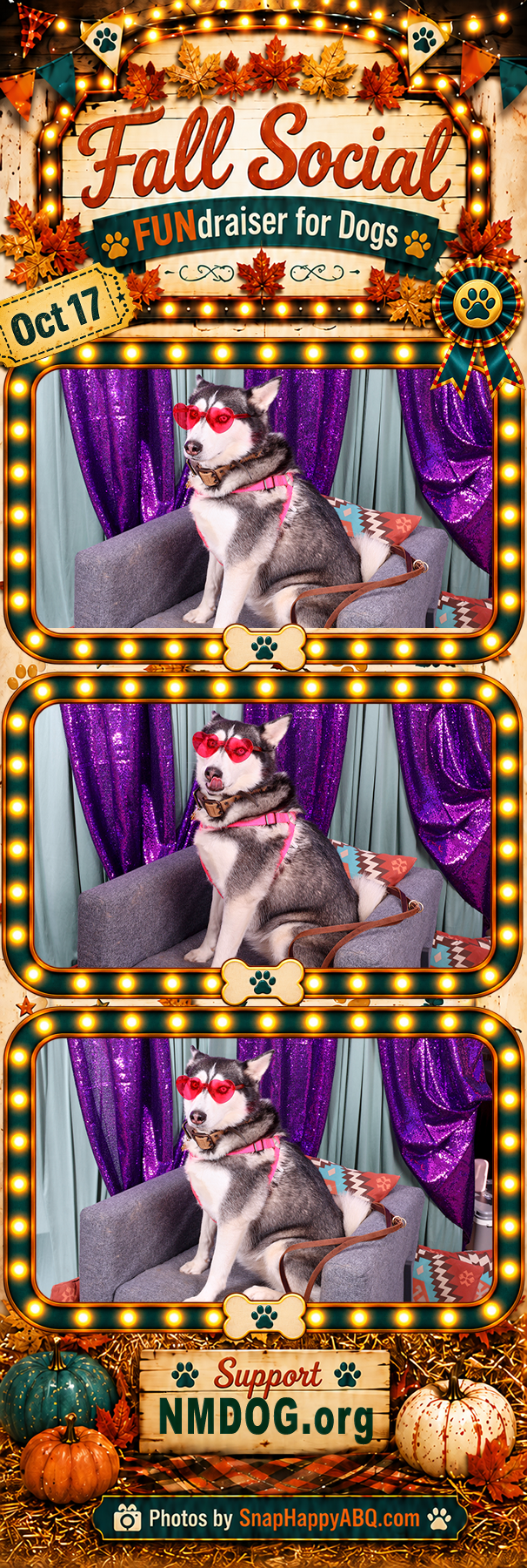 Nmdog 15