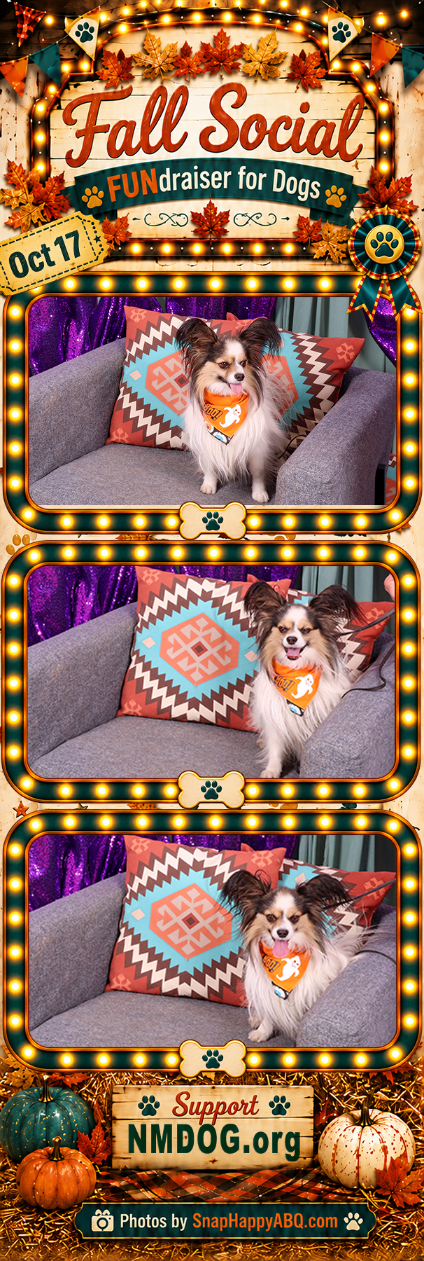 Nmdog 22